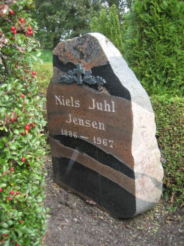 Niels Juhl Jensen.jpg